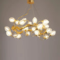 Load image into Gallery viewer, Ouway Brass Chandeliers