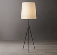 Load image into Gallery viewer, Wride Tripod Floor Lamp