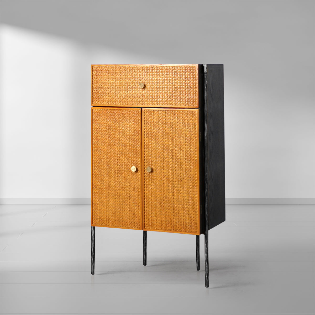 Tadeus Metal Frame Rattan Side Cabinet