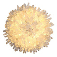 Load image into Gallery viewer, Besey Crystal Sunflower Wall Sconce

