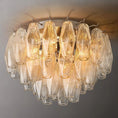 Load image into Gallery viewer, Chiala Clear Glass Flushmount 17"

