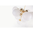 Load image into Gallery viewer, Erin Cristol Chandelier
