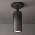 Load image into Gallery viewer, Champea Pivoting Flushmount
