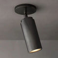 Load image into Gallery viewer, Champea Pivoting Flushmount
