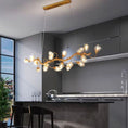 Load image into Gallery viewer, Ouway Luxury Chandelier
