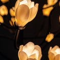 Load image into Gallery viewer, Fukuren Chandelier
