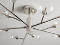 Load image into Gallery viewer, Pollo Flush Mount
