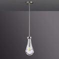 Load image into Gallery viewer, Raindrop Outdoor Pendant
