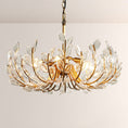 Load image into Gallery viewer, Welar 8 Light Chandelier 32“
